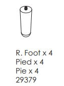 Foot