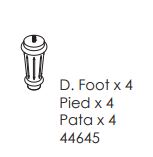 Foot