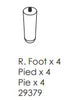 Foot