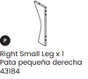 Right Small Leg
