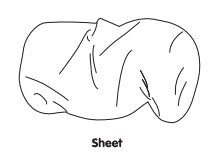 Sheet